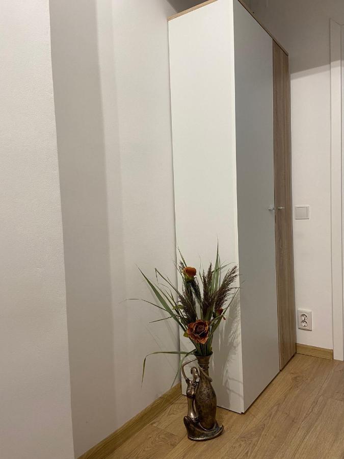 Daniela'S Apartaments Сигишоара Экстерьер фото